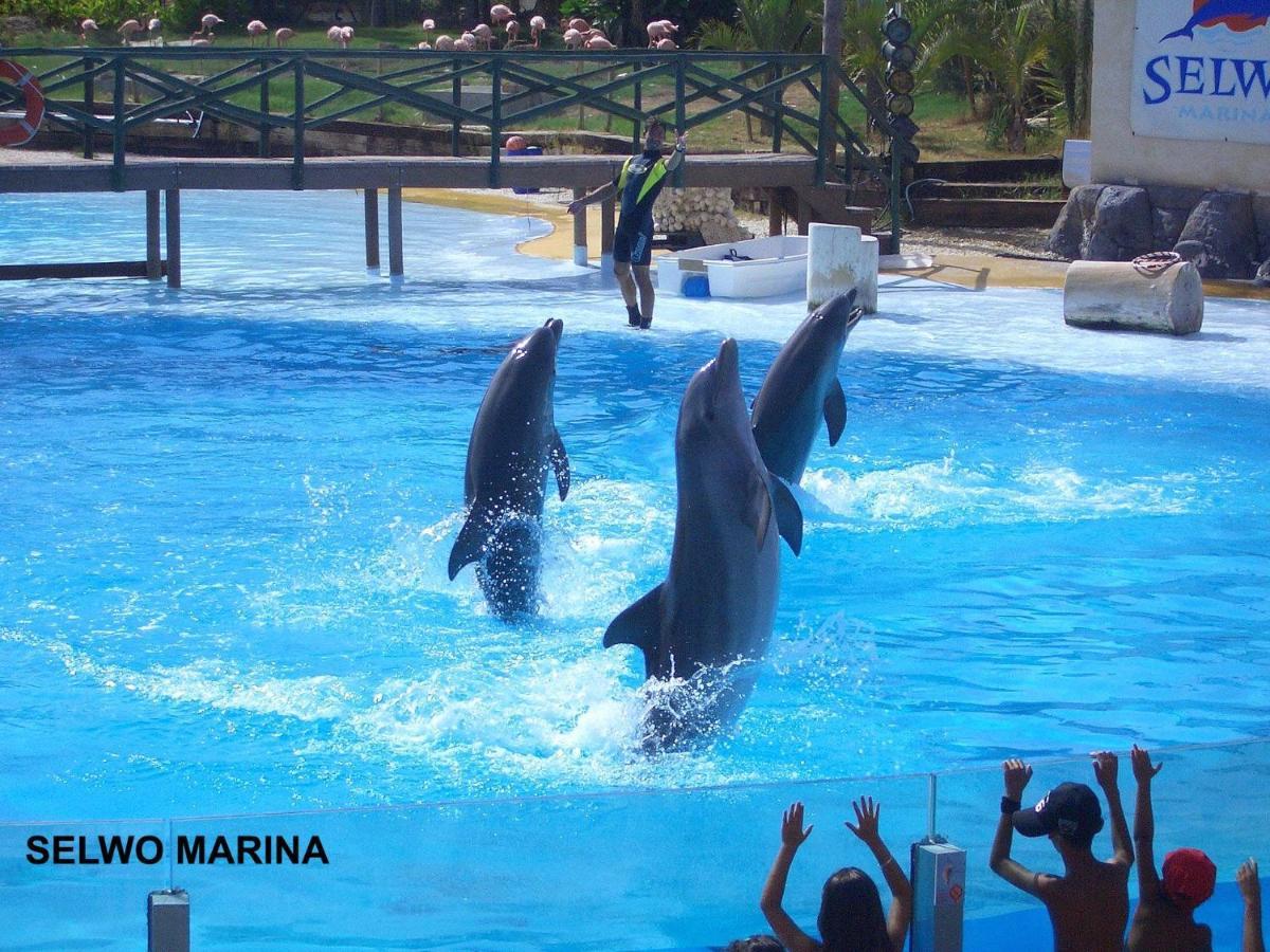 Appartamento Estudio Júpiter Benalmádena Cerca Playa Esterno foto