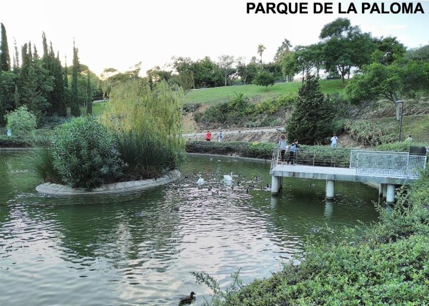 Appartamento Estudio Júpiter Benalmádena Cerca Playa Esterno foto